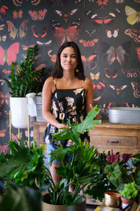 Plant Consultations