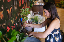 Load image into Gallery viewer, Plant Consultations
